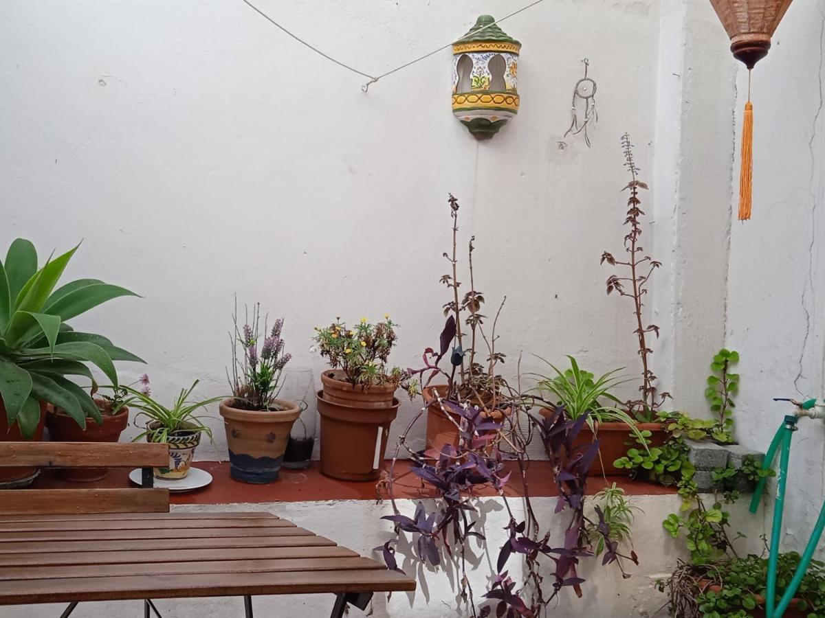 Selva La Bella. En El Corazon De Triana Apartment Sevilla Exterior foto